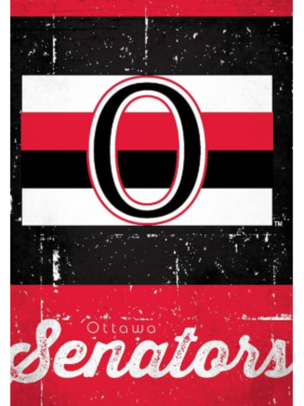 Ottawa Senators Paper Poster From NHL Team by Trends International